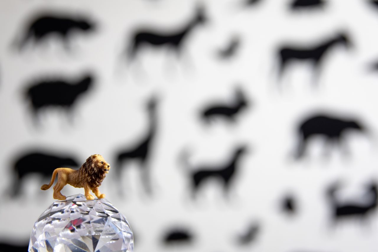 a small lion toy on a crystal ball with animal silhouettes in the back