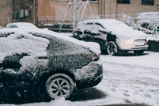 Snow-covered cars in a Samarkand street depict a tranquil winter morning in the city.
