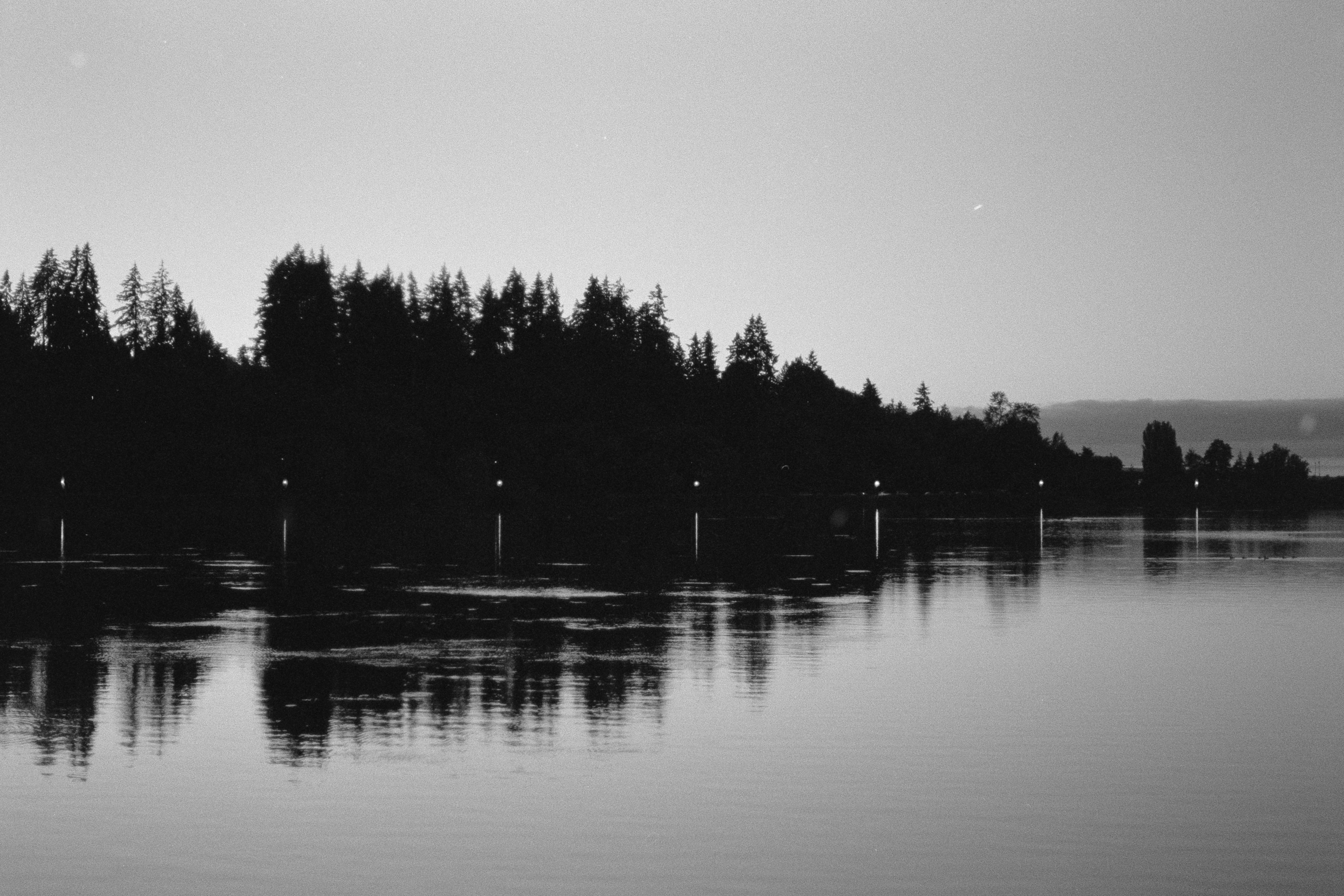 Black and white serene lakeside scene at twilight in Olympia, Washington.