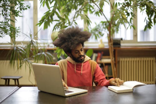 Gratis stockfoto met aan het studeren, afro haar, bibliotheek