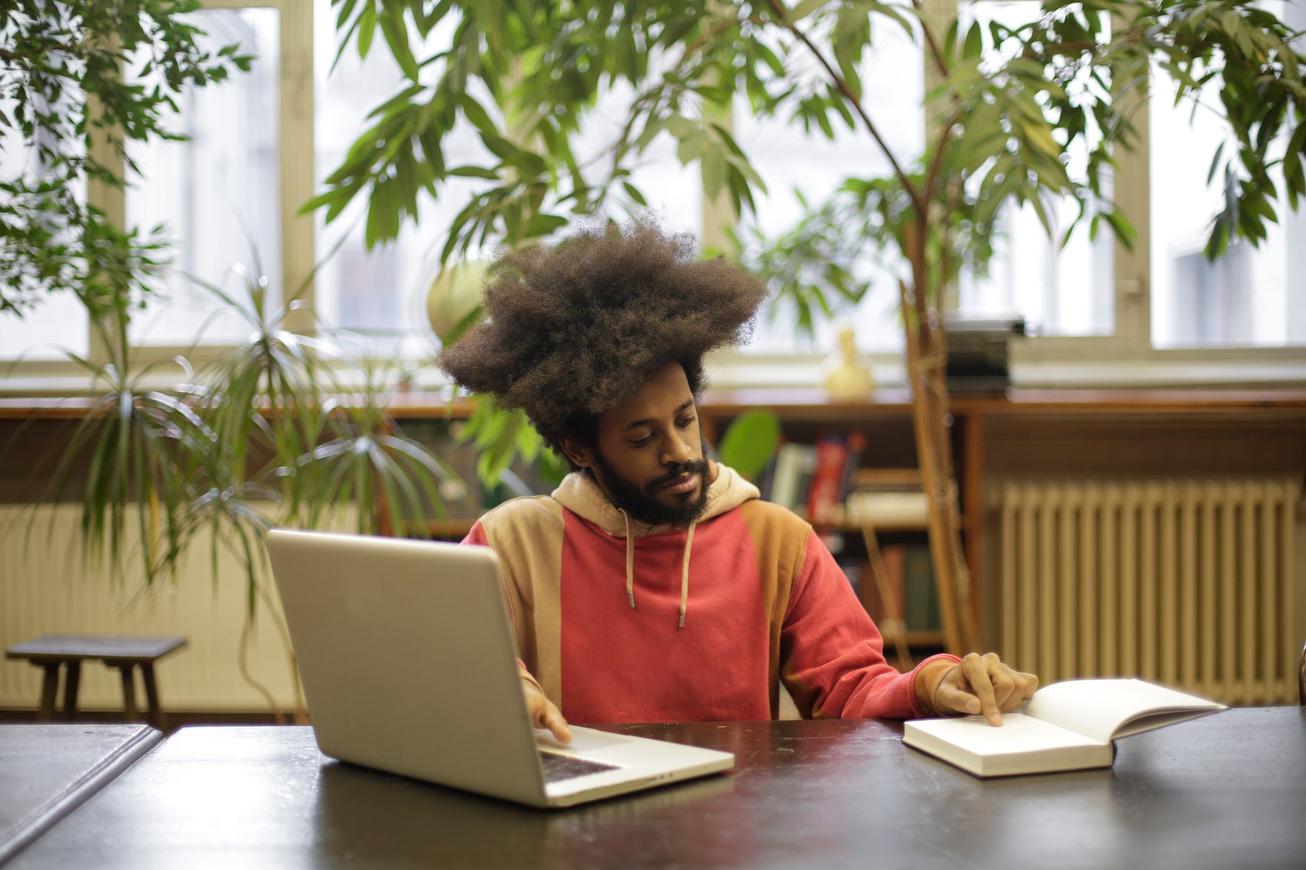 A focused young man with afro hair studying using a laptop and book in a well-lit library with plants.