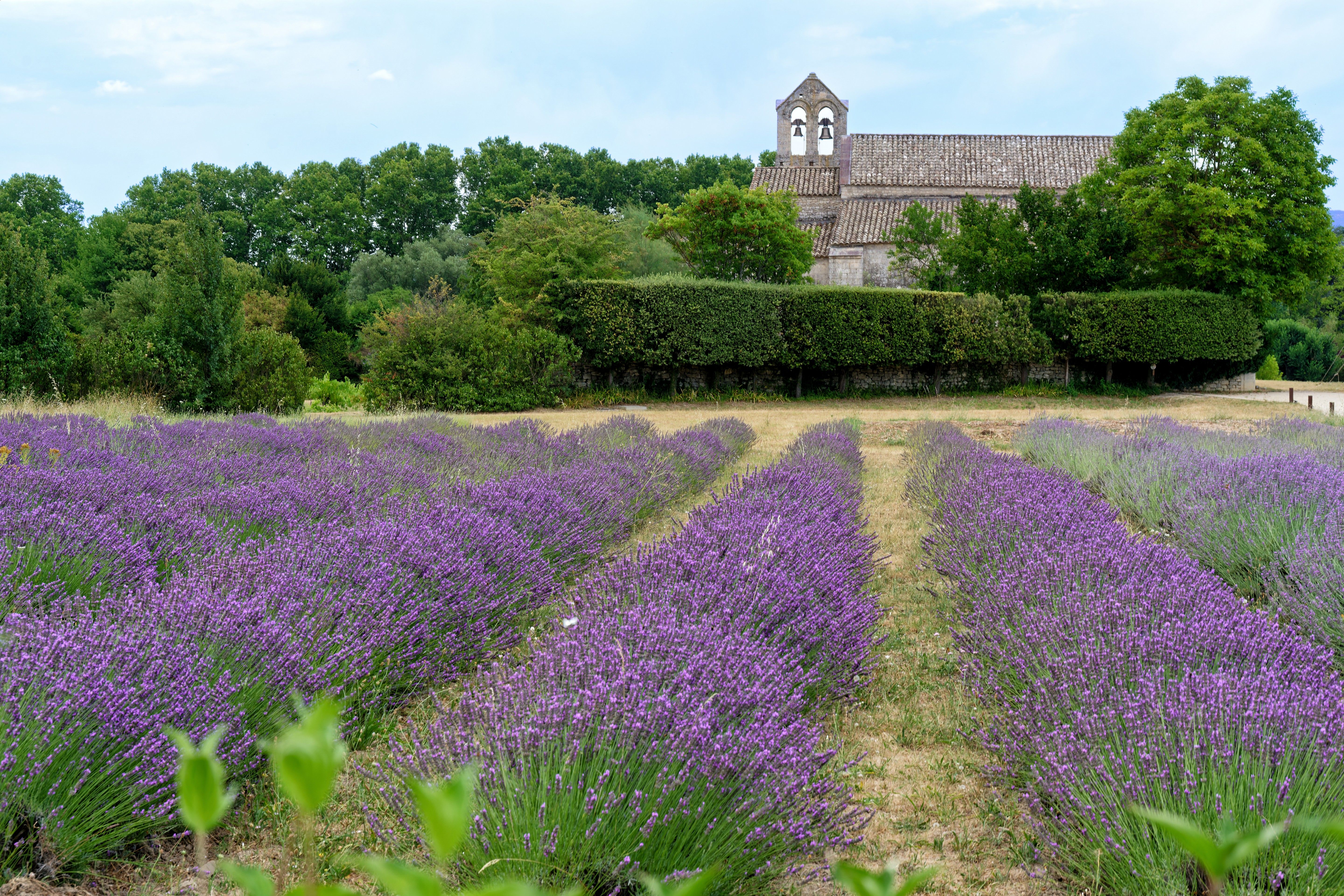 Gordes — Food, Gordes