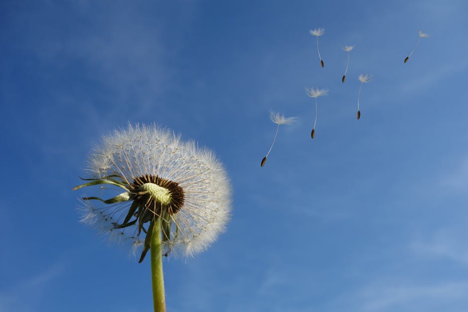Schedule LinkedIn Posts Free for Seasonal Campaigns