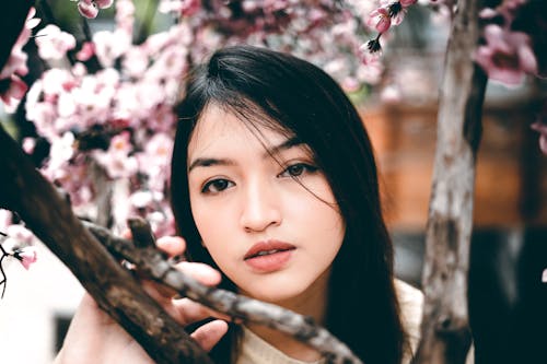 Kostnadsfri bild av ansikte, asiatisk kvinna, blommor