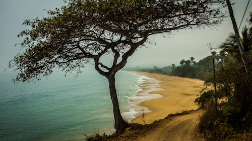 Free stock photo of beach, clouds, cloudy