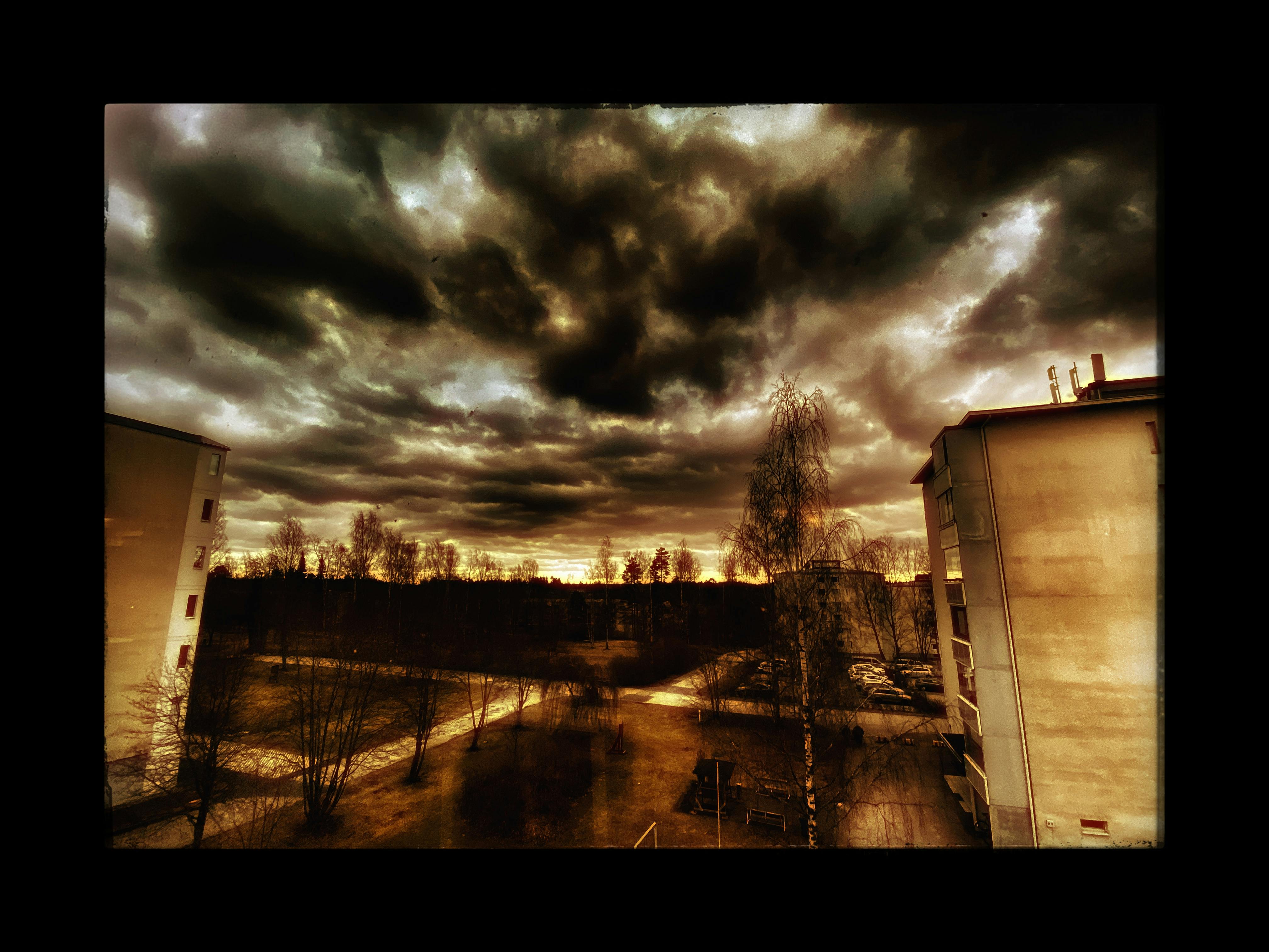 Open notebook with zodiac sketches and a cup of coffee, suggesting daily horoscope reflection