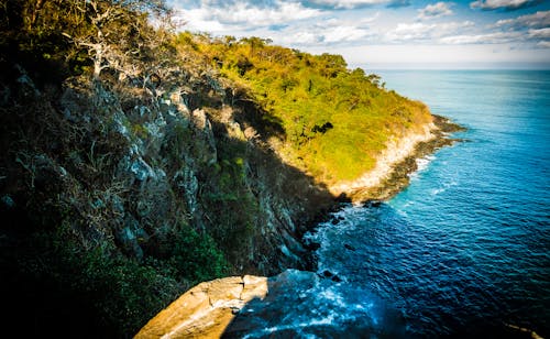 Foto profissional grátis de árvores, ecológico, floresta