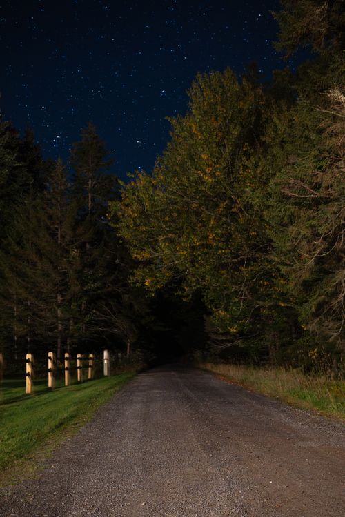 Free A serene nighttime scene of a forest road under a star-filled sky, offering a peaceful outdoor ambiance. Stock Photo