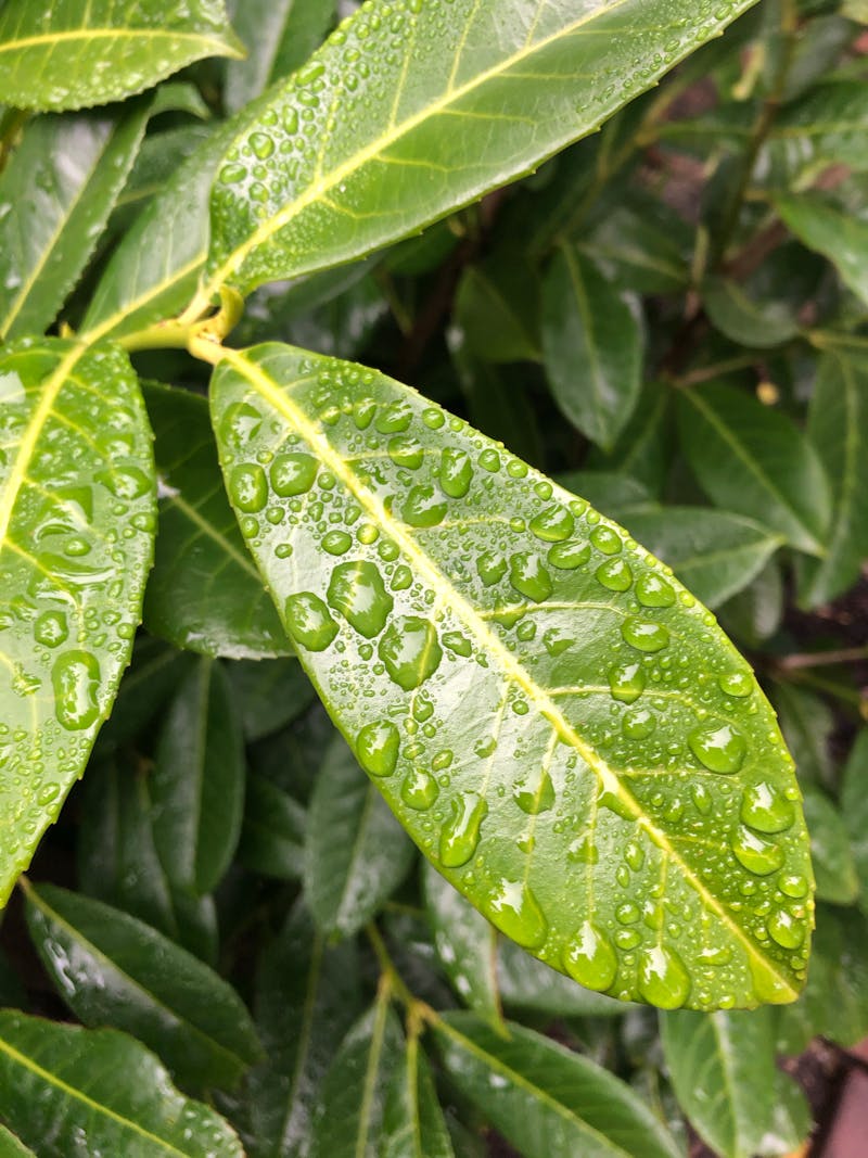 Washing machine illustration / photo