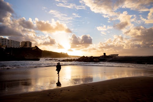 Silhouette of Person Walking on Beach during Sunset