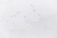 White shabby concrete wall with cracked stucco