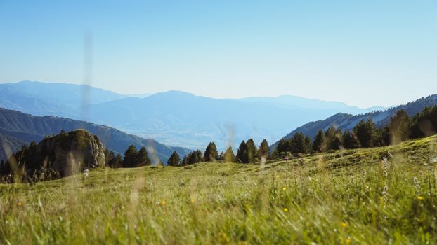 Stunning view of a green meadow with mountains in the background under a clear blue sky.