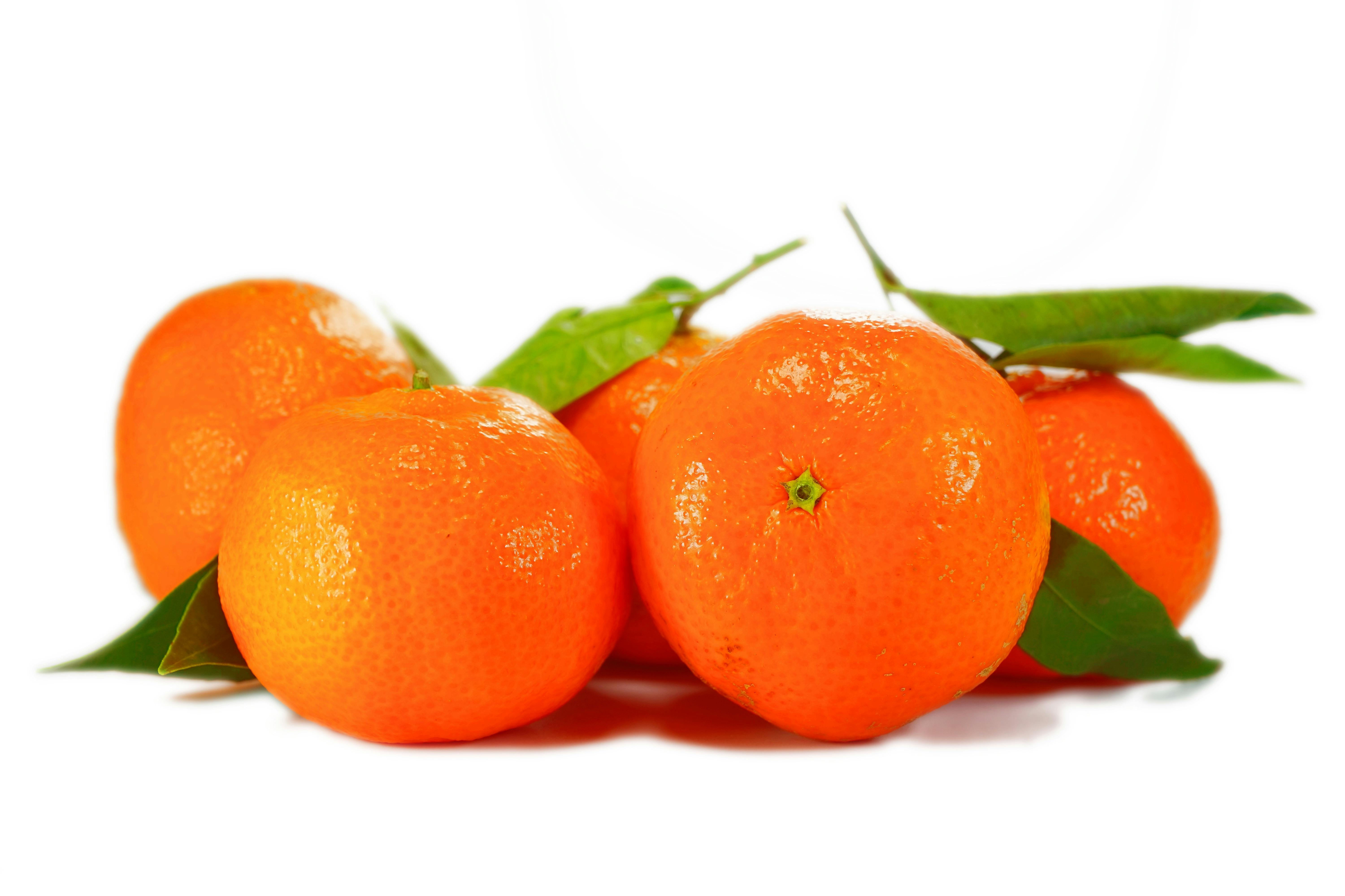 orange-fruit-free-stock-photo