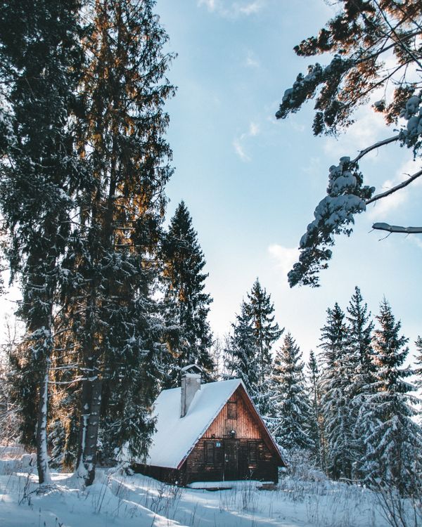 Brown Wooden House in the Middle of Snow Covered Trees · Free Stock Photo