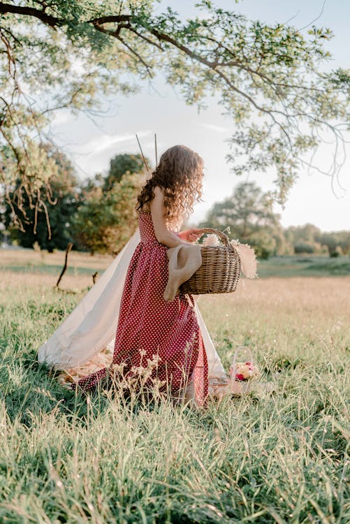 無料 緑の芝生のフィールドに茶色の編まれたバスケットを保持している赤と白の水玉模様のドレスの女性 写真素材