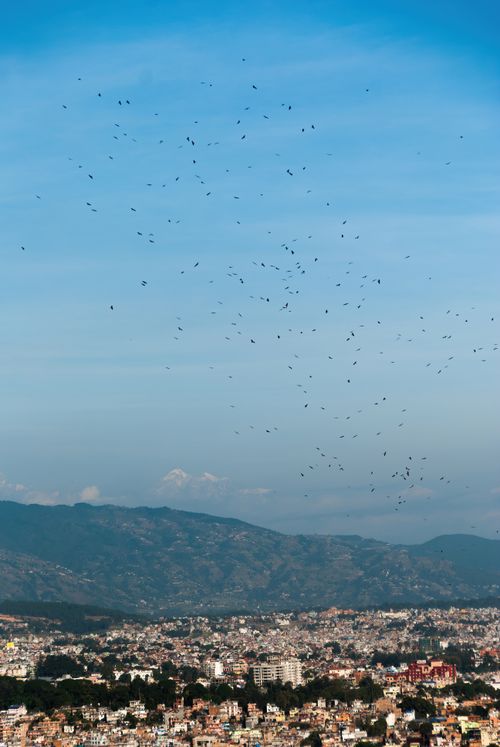 Free Stunning aerial view of a city with mountains and a flock of birds in the sky, offering a serene landscape. Stock Photo