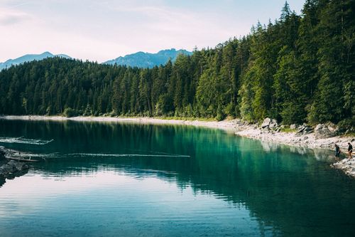 Free Idyllic lake surrounded by dense forest and mountains, reflecting serene nature scenery. Stock Photo