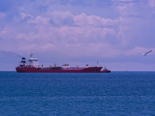 Free A red cargo ship navigates the calm open sea under a cloudy sky, representing global maritime trade. Stock Photo