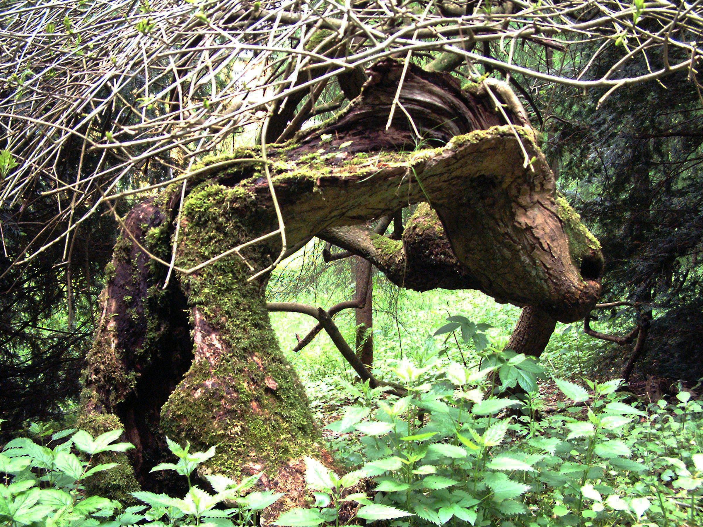 Driving instructor sitting beside a learner driver on a test