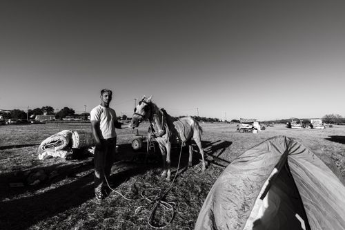 Free A man stands with his horse in a field at Pehlivanköy horse market, Türkiye, in black and white. Stock Photo