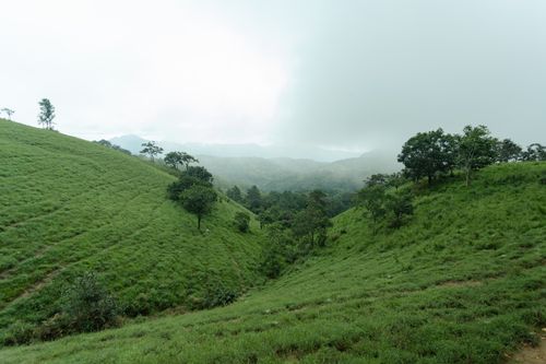 Free Scenic view of green hills and mist in Tà Năng, Lâm Đồng, Việt Nam. Stock Photo