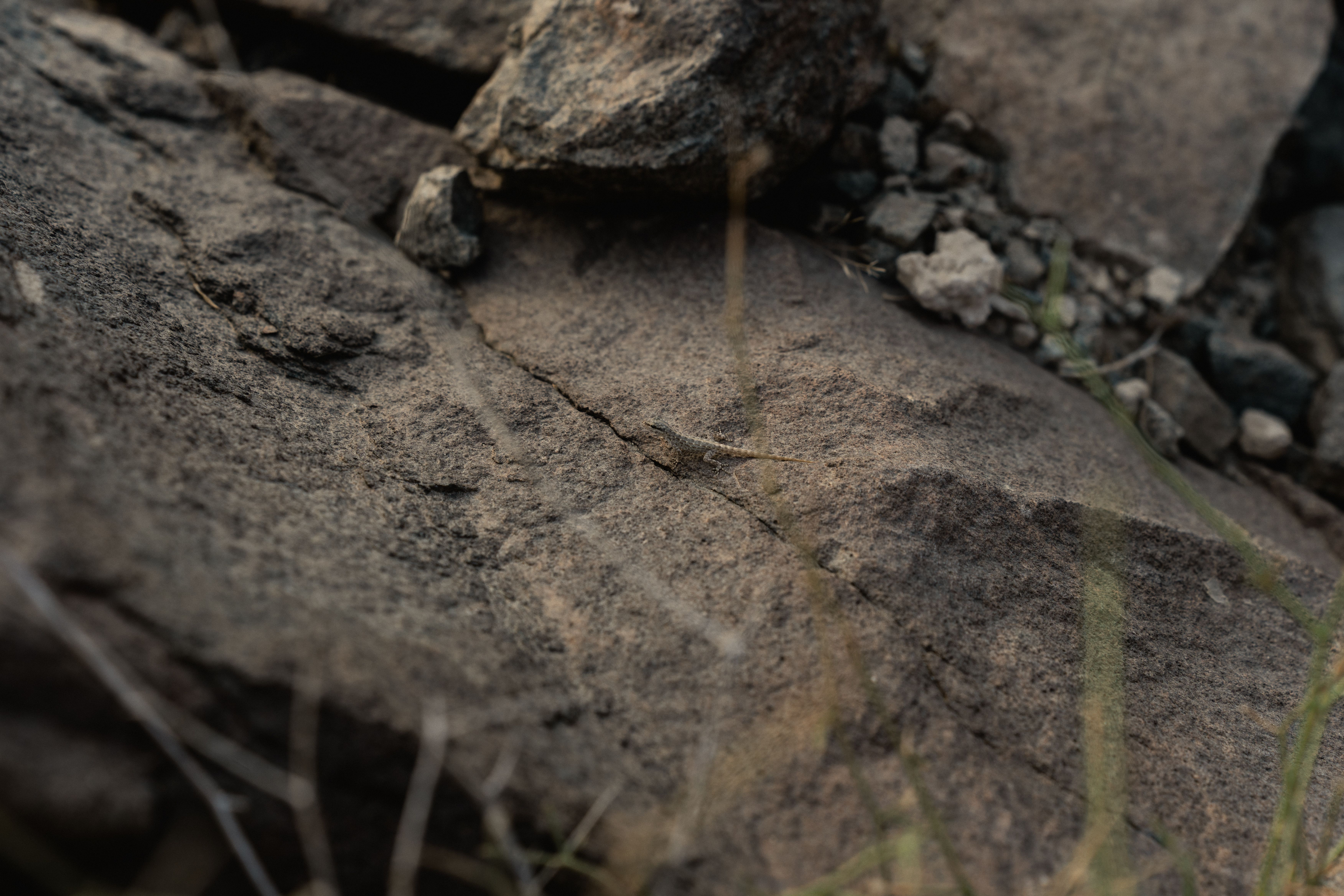 climate resilience drought mitigation — Photo by Siarhei Nester on Pexels
