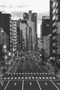 日本大阪的城市街道呈现出黑白景观，其中有摩天大楼和人行横道