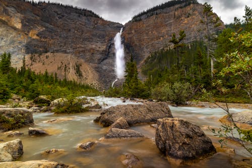 Foto d'estoc gratuïta de arbres, bosc, Canadà