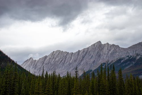 A Mountain and Forest Under a Cloudy Sky