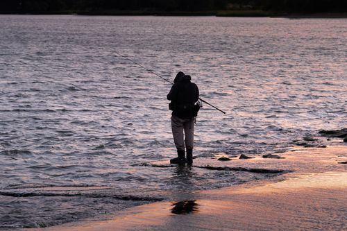Free A lone fisherman at dawn in Cove Island Park, Stamford, CT during autumn. Stock Photo