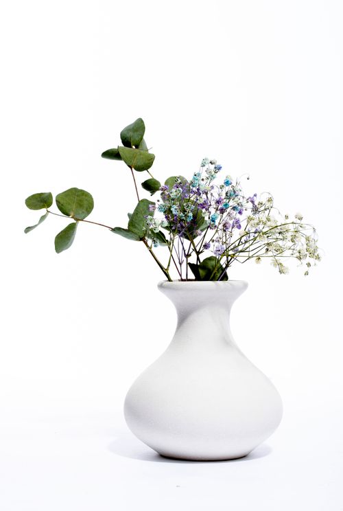 Free Elegant display of delicate flowers and leaves in a white vase on a bright background. Stock Photo