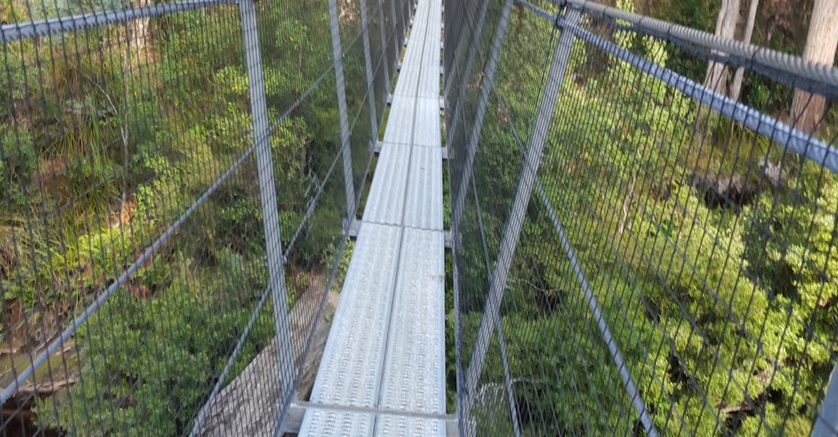 Free stock photo of suspension bridge, woods
