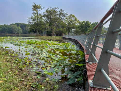 Free stock photo of boardwalk, cyberjaya, lake Stock Photo