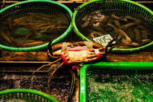 Free stock photo of crab, seafood, street Stock Photo