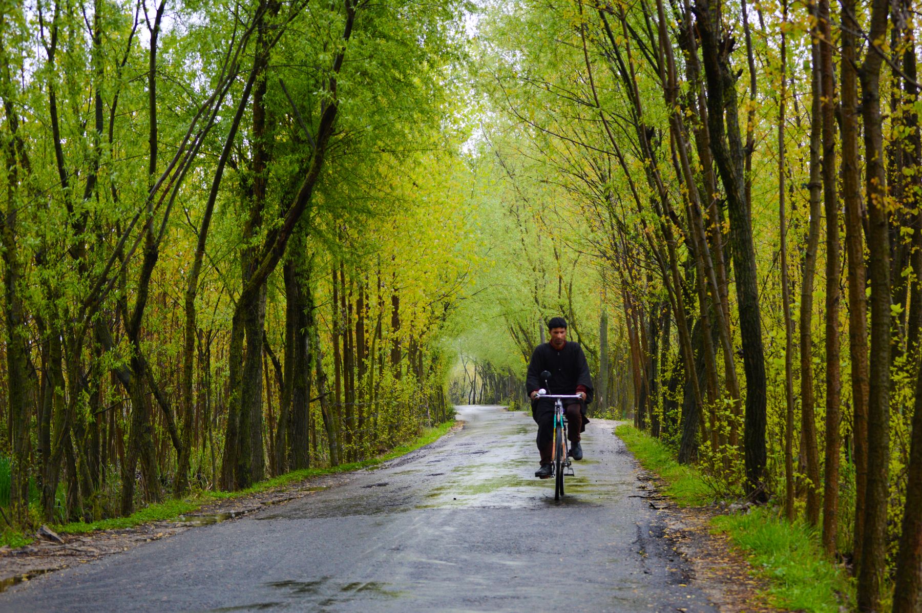 Thames Towpath Cycling Near Reading: Routes, Bike Hire and Where to Stay