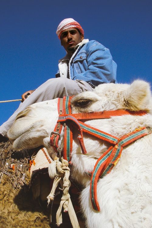 Free A man in traditional attire riding a camel against a clear blue sky in a desert setting. Stock Photo