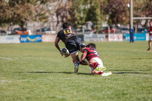 Free Dynamic rugby tackle during an outdoor match with players in action on a sunny day. Stock Photo