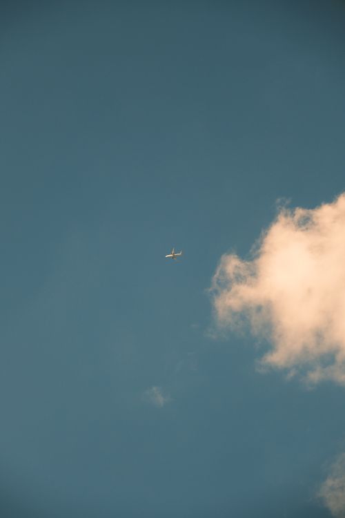 Free Airplane flying high in the clear blue sky alongside a solitary white cloud. Stock Photo