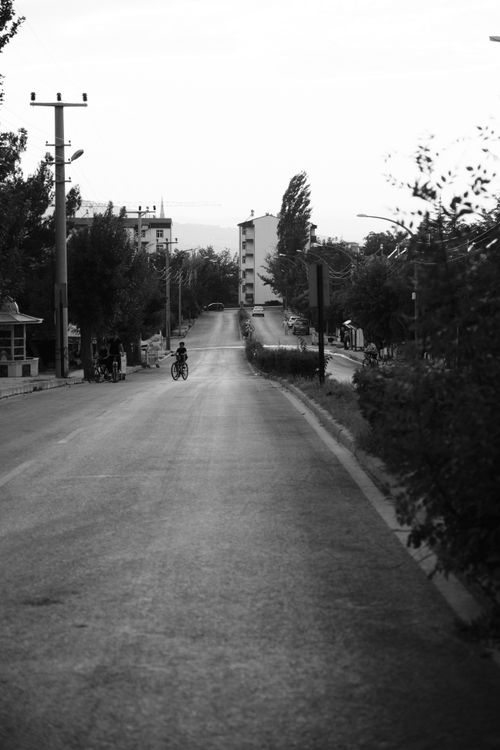 Free A single cyclist rides on a quiet urban street, surrounded by trees and buildings. Stock Photo