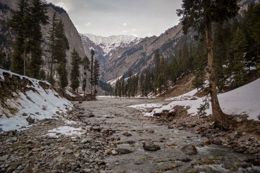 雪山山谷风景优美，河流流淌，树木葱郁，非常适合自然爱好者