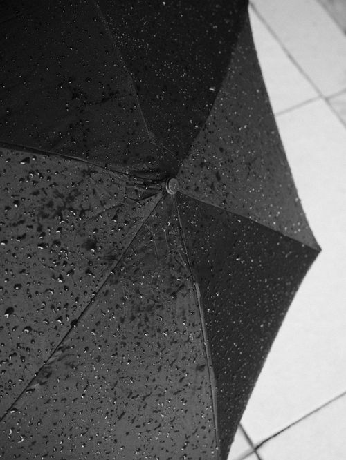 Free Detailed view of a black umbrella covered in raindrops on a tiled pavement. Stock Photo