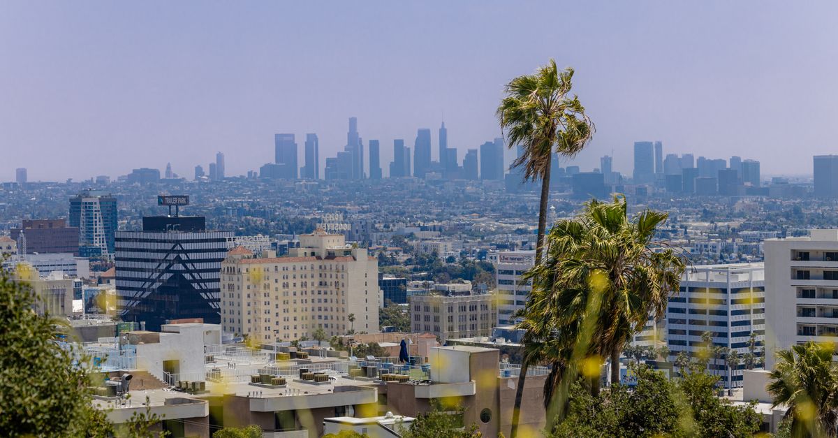 View of the Los Angeles skyline with palm trees in the foreground and urban buildings under a clear blue sky.