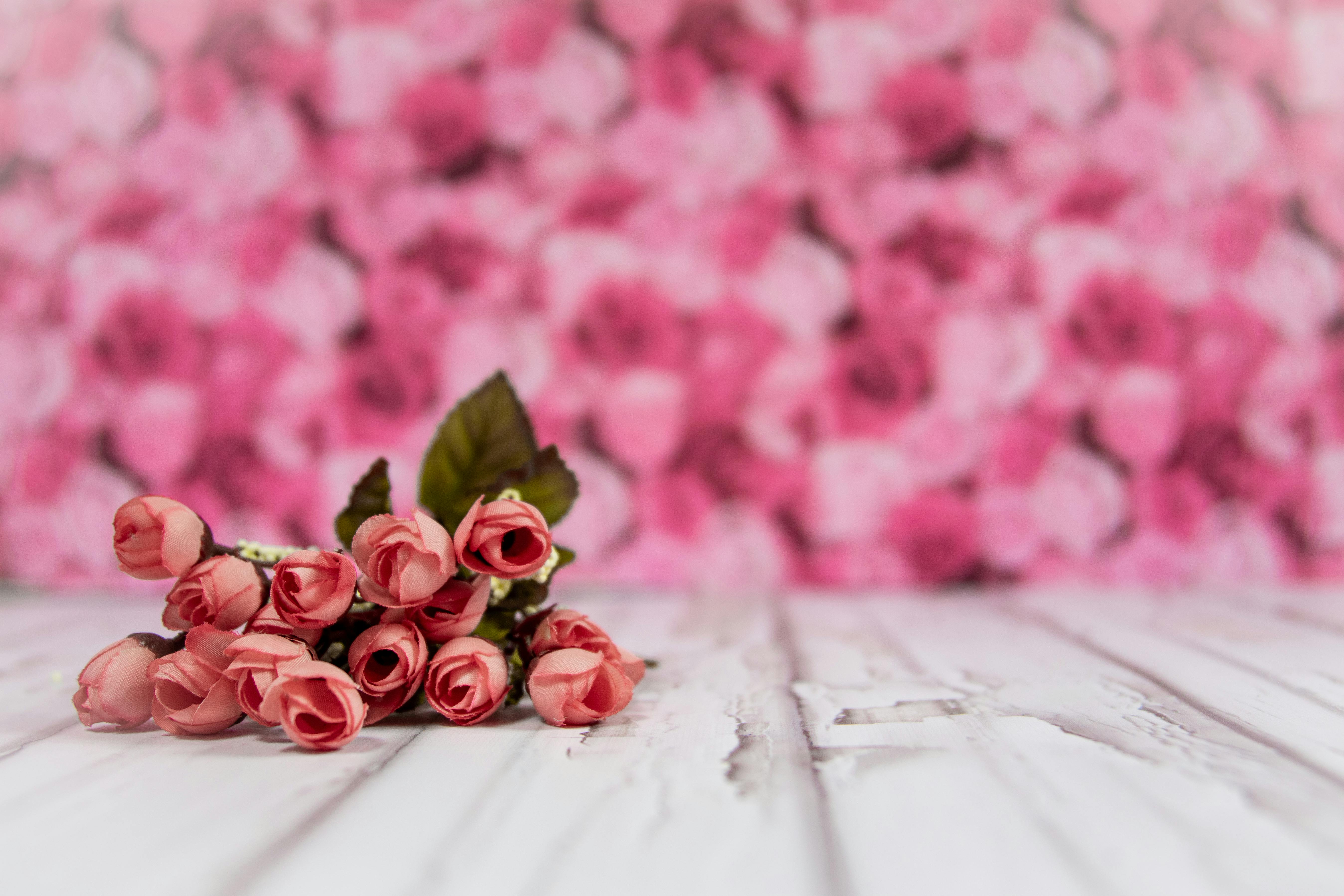 Pink Roses On White Surface · Free Stock Photo