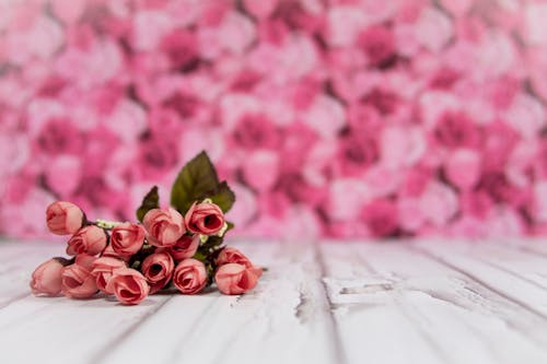 Pink Roses On White Surface