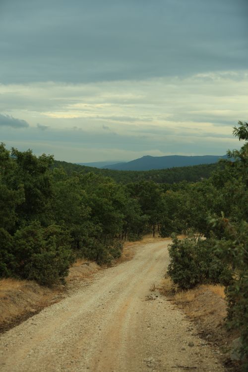 Free A winding dirt road through a verdant forest with distant mountain views under a cloudy sky. Stock Photo