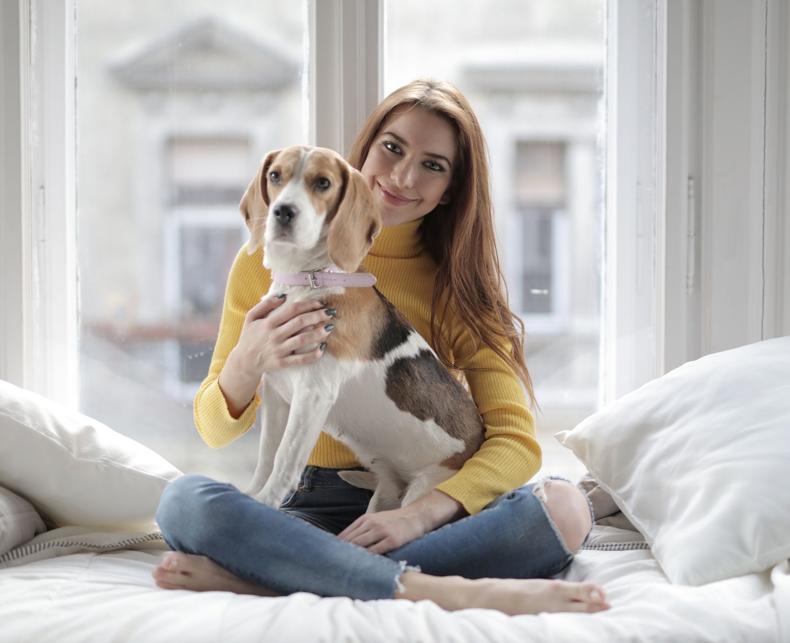 How to Prevent Your Dog From Getting Bored: Essential Enrichment Tips
