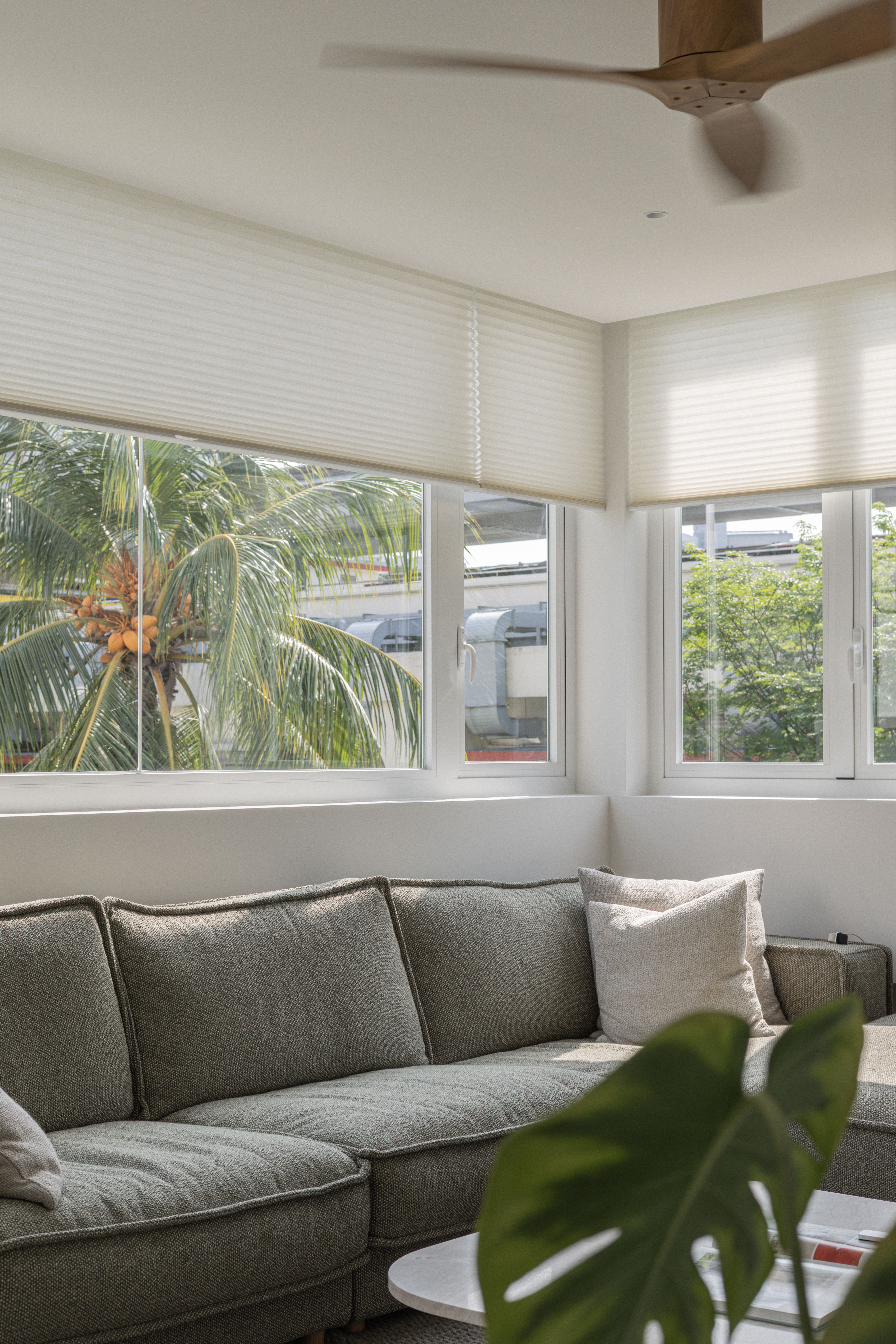 Comfortable living room with green sofa, large windows, and palm trees outside.