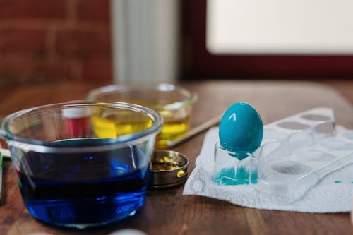 Free Blue Egg on Clear Plastic Tray Stock Photo