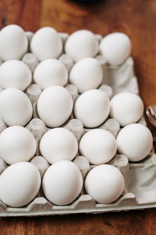 Free White Eggs on White Tray Stock Photo