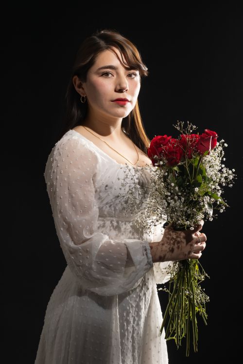 Free Portrait of an elegant woman in white dress holding red roses against dark background. Stock Photo